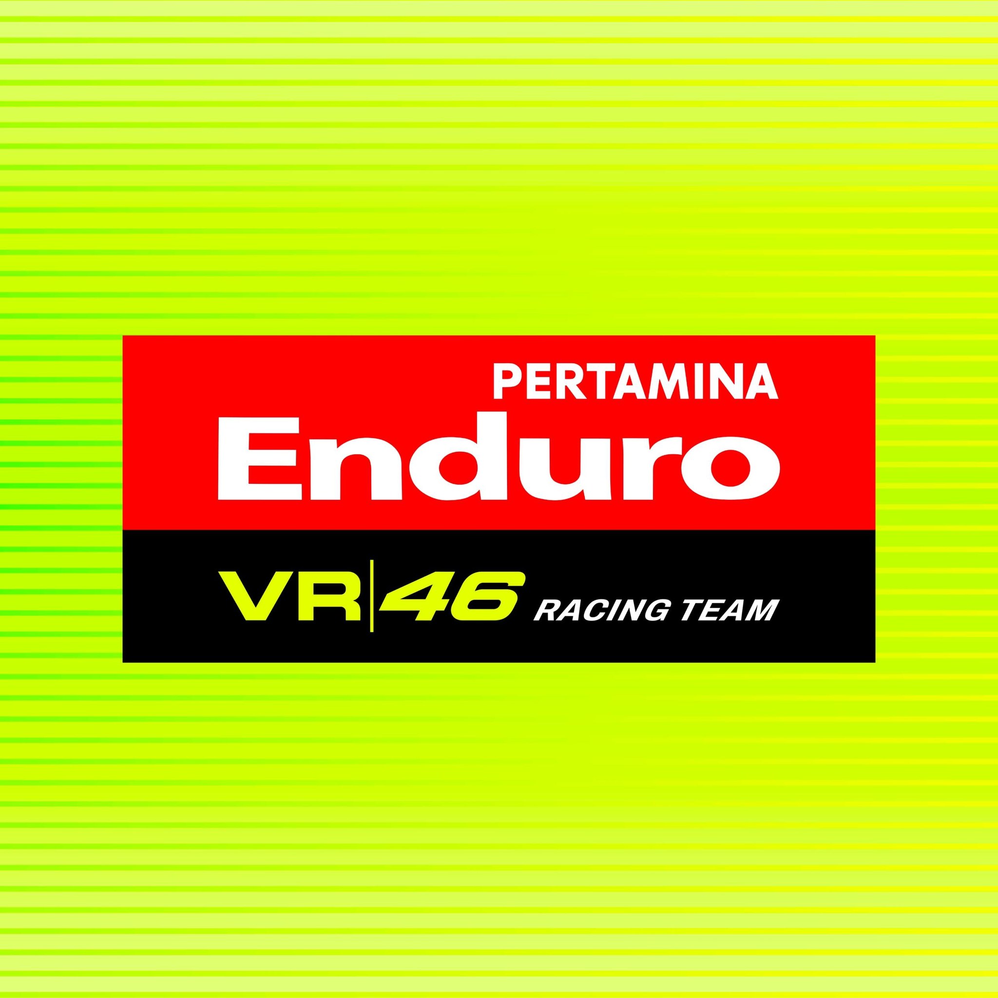 Profile Pertamina Enduro VR46 Racing Team